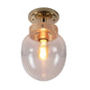 Charleston Flush Light