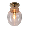 Charleston Flush Light