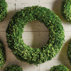 Boxwood Wreath