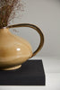 Alora Pitcher