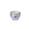 Devonshire Collection