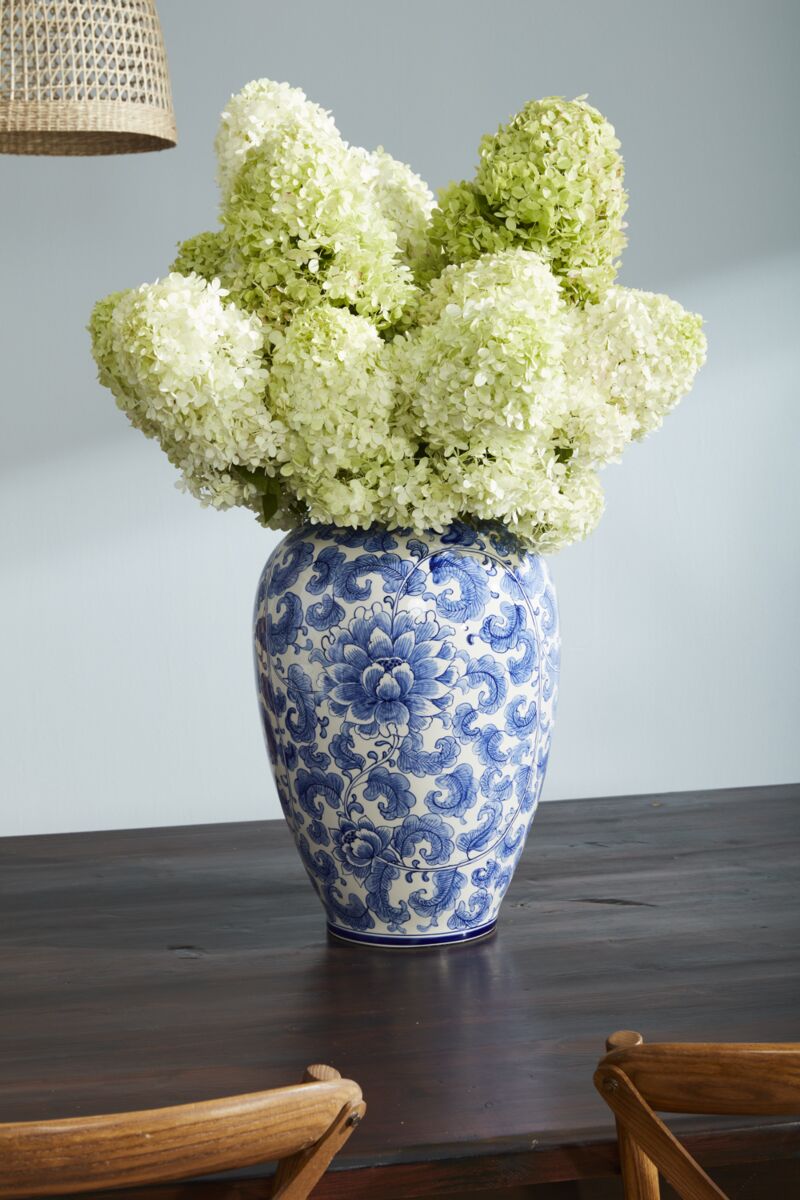 Devonshire Collection