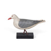 Bonaparte's Gull on Wood Block