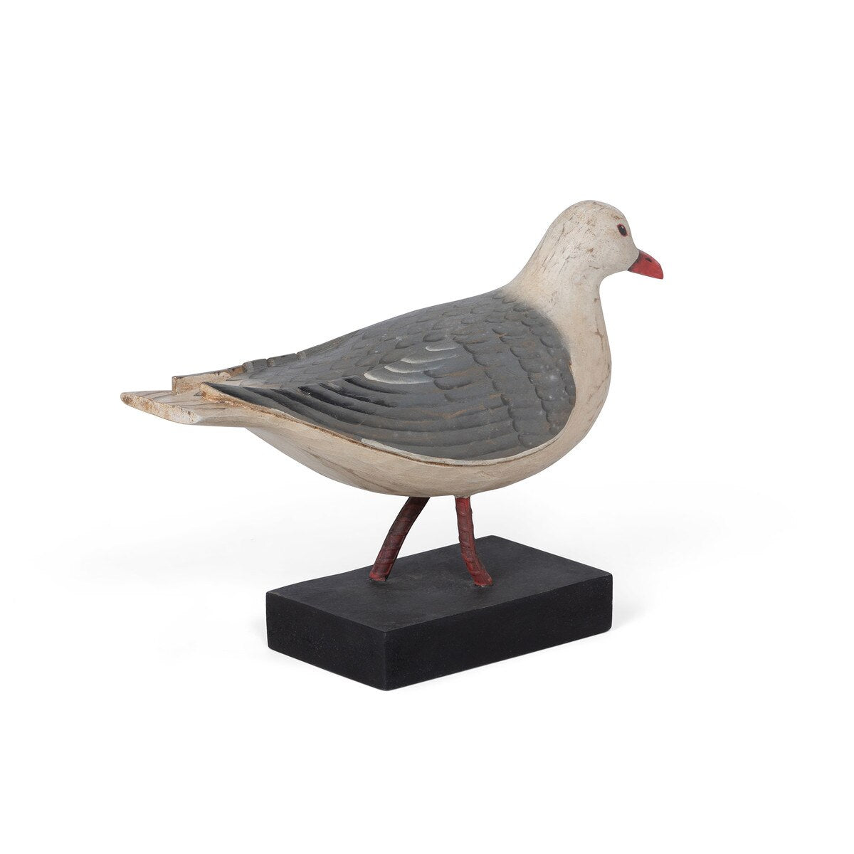 Bonaparte's Gull on Wood Block