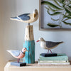 Bonaparte's Gull on Wood Block