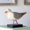 Bonaparte's Gull on Wood Block