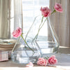 Oversize Teardrop Glass Vase