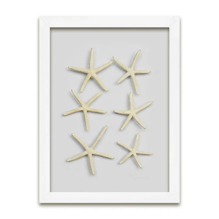 Starfish & Sand Dollars Mini Series (9 x 12)