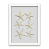 Starfish & Sand Dollars Mini Series (9 x 12)