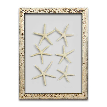 Starfish & Sand Dollars Mini Series (9 x 12)