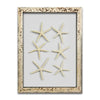 Starfish & Sand Dollars Mini Series (9 x 12)