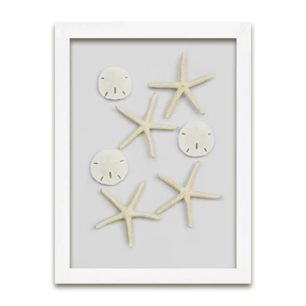 Starfish & Sand Dollars Mini Series (9 x 12)