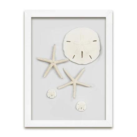 Starfish & Sand Dollars Mini Series (9 x 12)