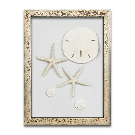 Starfish & Sand Dollars Mini Series (9 x 12)