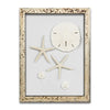 Starfish & Sand Dollars Mini Series (9 x 12)