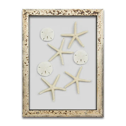 Starfish & Sand Dollars Mini Series (9 x 12)