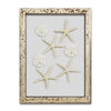 Starfish & Sand Dollars Mini Series (9 x 12)