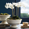 Coletta Decorative Footed Bowl