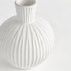 Pravi Vase