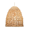 Netted Pendant Light