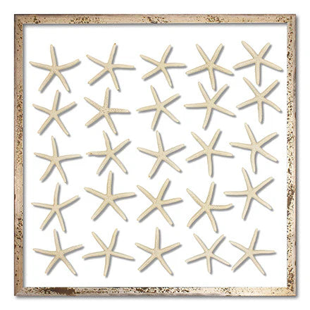 Skinny Starfish