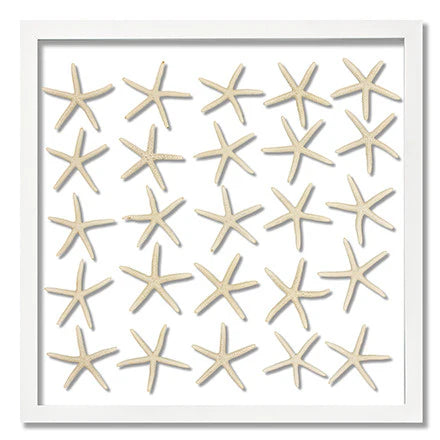 Skinny Starfish