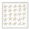 Skinny Starfish