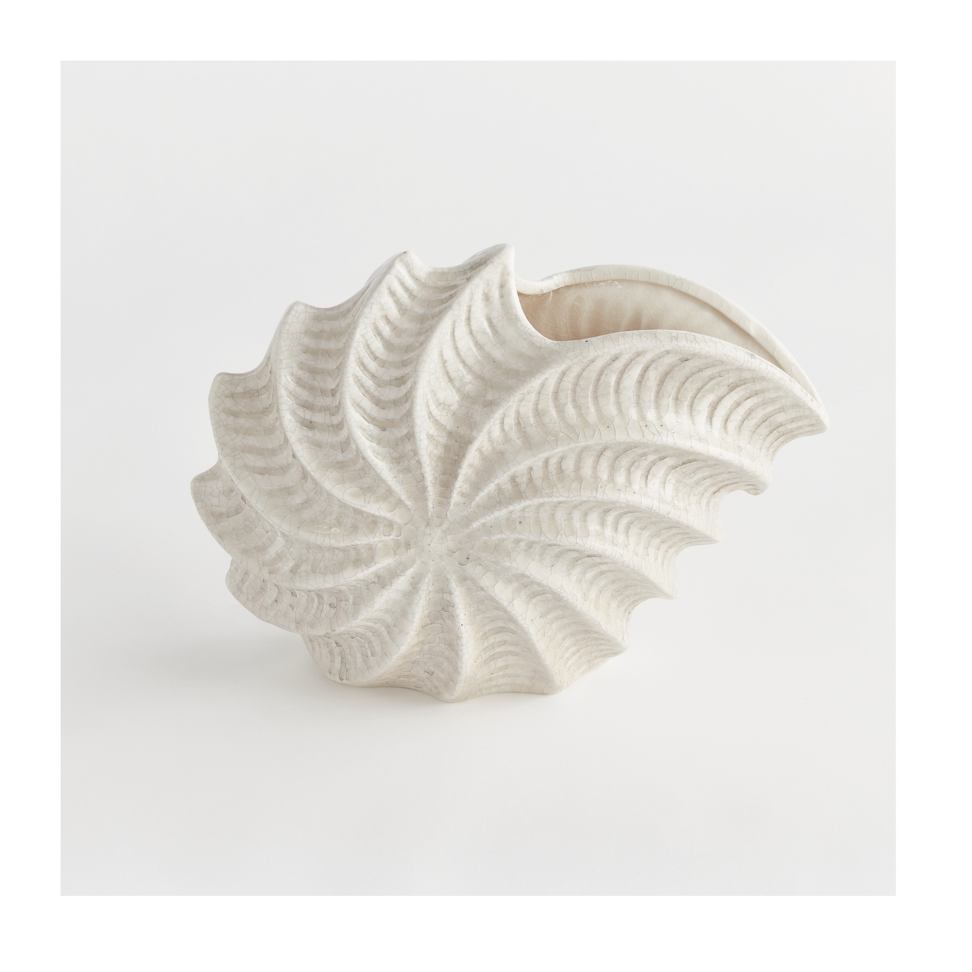 Nautilus Shell Vase