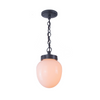 Charleston Pendant Light