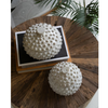 Pebbled White Ceramic Canisters (Set of 2)