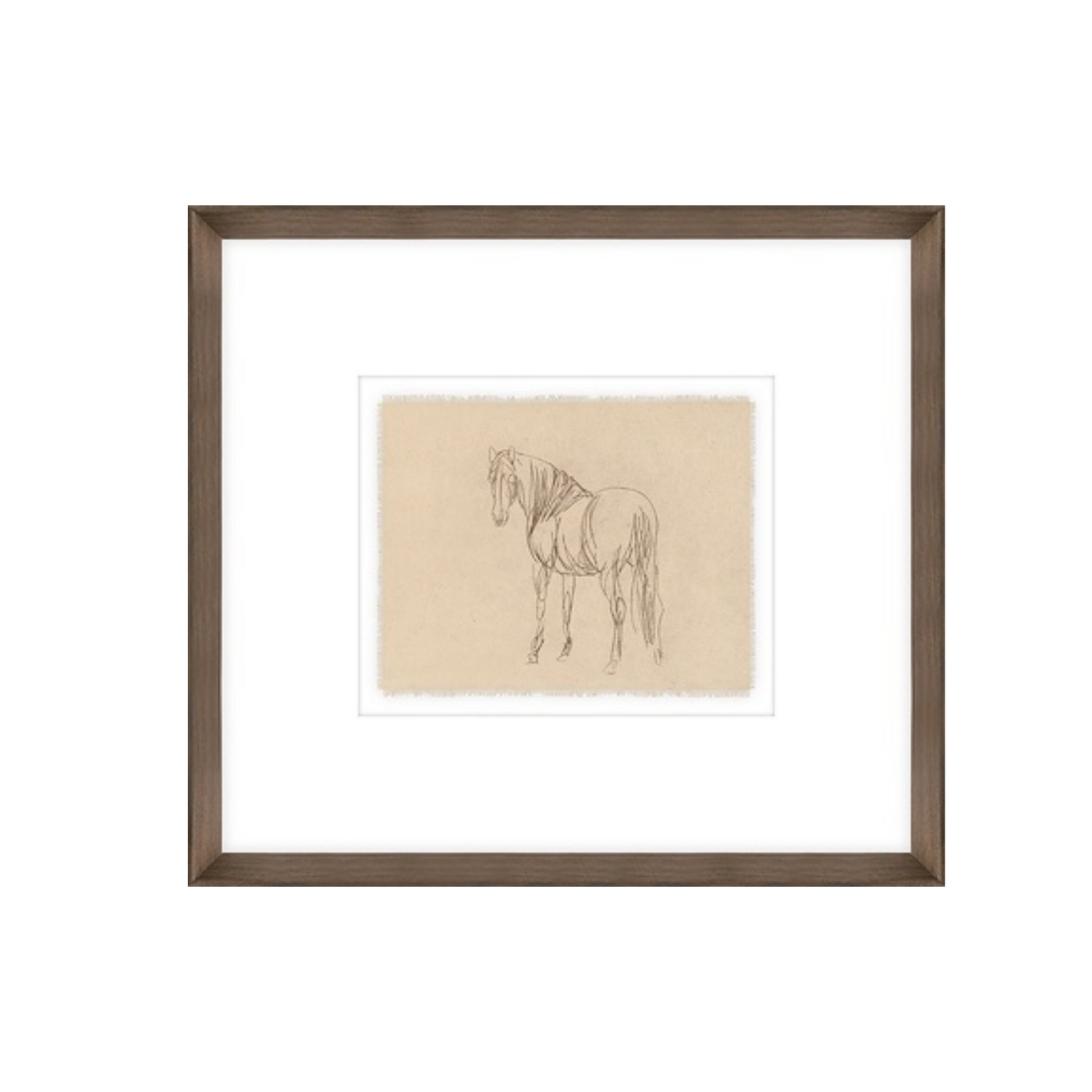 Equine Impression III