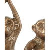 Satori Brass Monkey Set