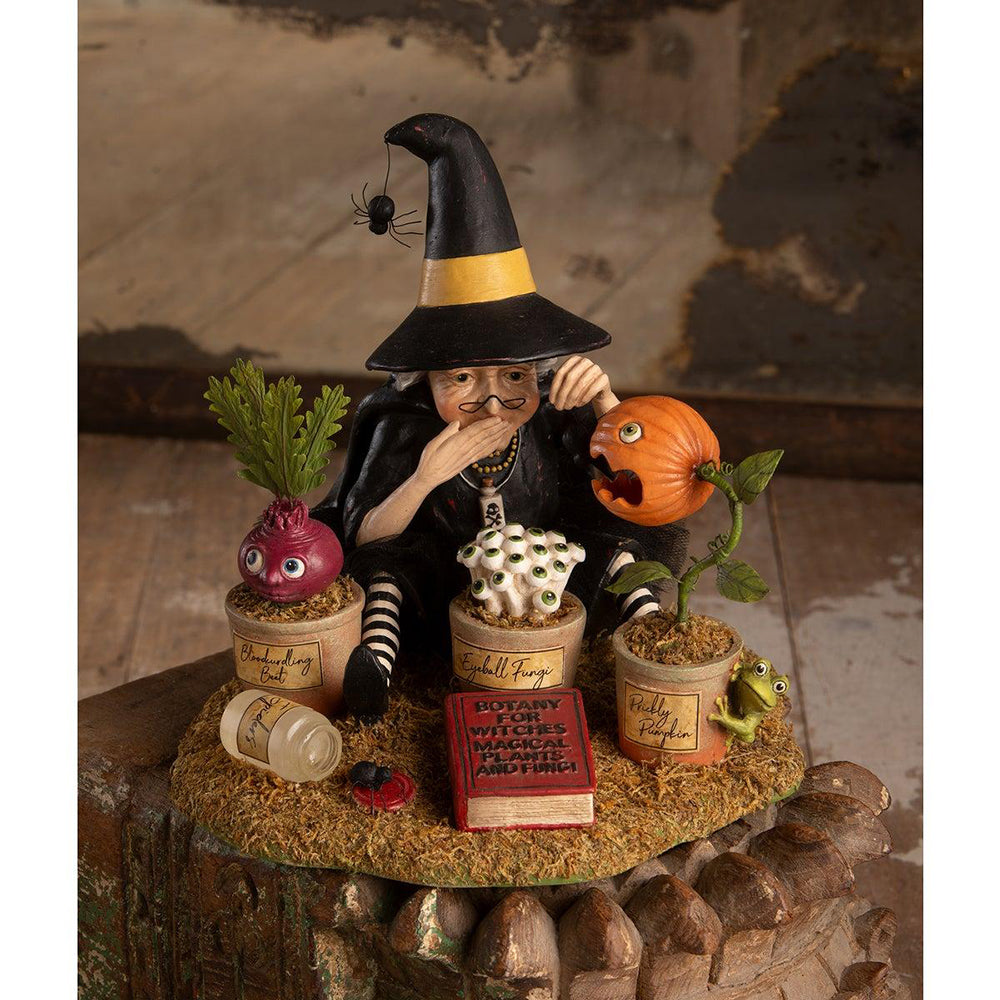 Botany Witch
