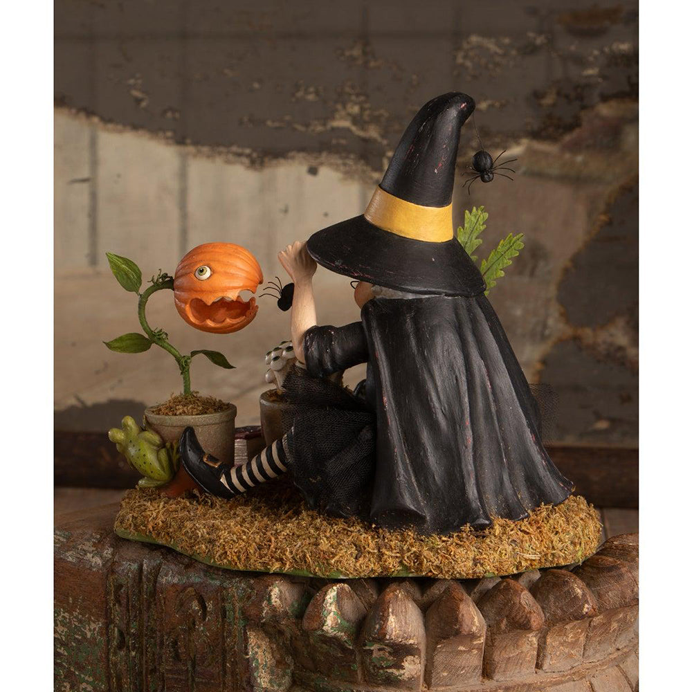 Botany Witch