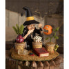 Botany Witch