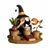 Botany Witch
