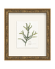Framed - Laurel Gold - Torchon - Warm White Mat / 8.5 x 9.5