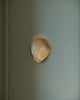 Alexine Wall Sconce