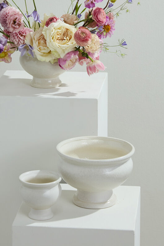 Dawson Compote