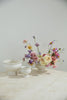 Dawson Compote