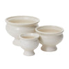 Dawson Compote