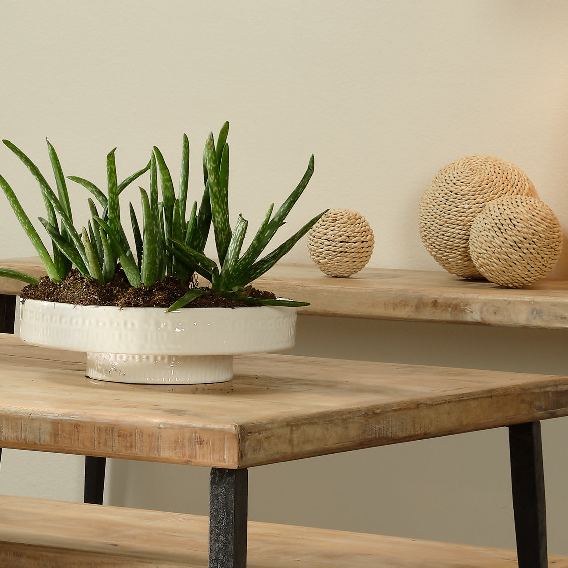 Coco Pedestal Bowl