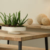 Coco Pedestal Bowl