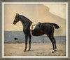 A framed vintage oil painting depicting a black horse standing in profile with a white saddle and bridle, set against a muted beige and gray background.