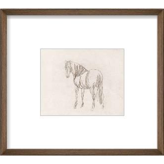 Equine Impression III