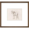 Equine Impression III