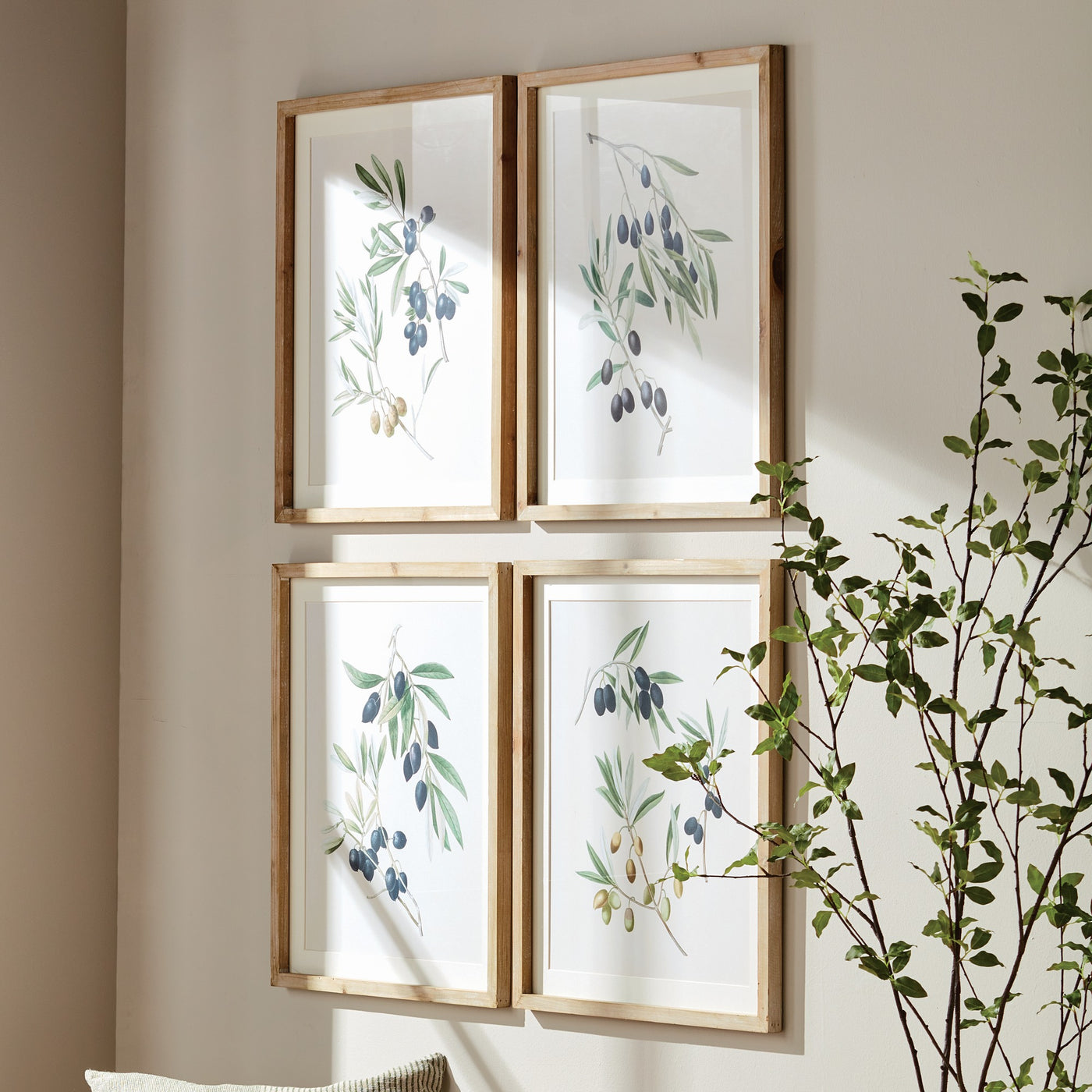 Olive Stems Study, Set of 4