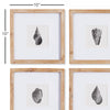 Seashell Petite Prints, Set of 4