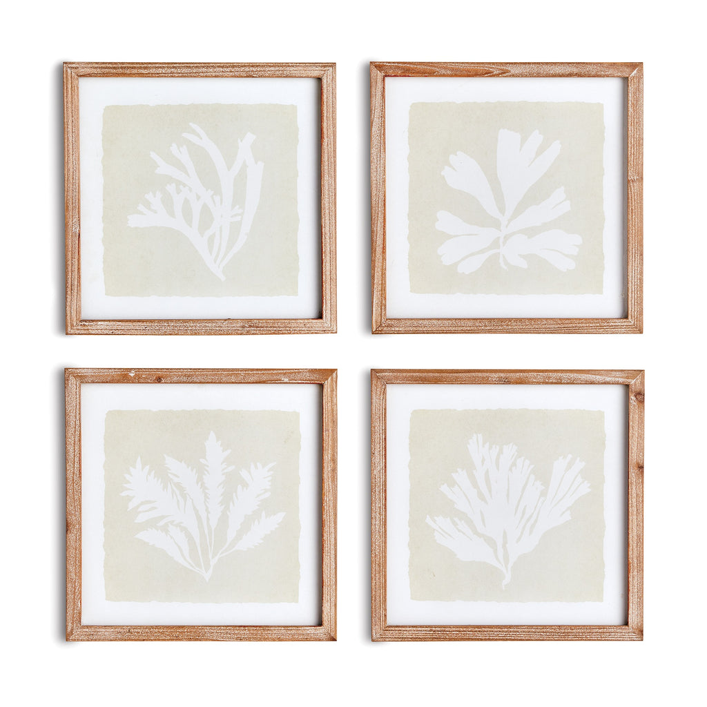 Seaweed Petite Prints, Set of 4