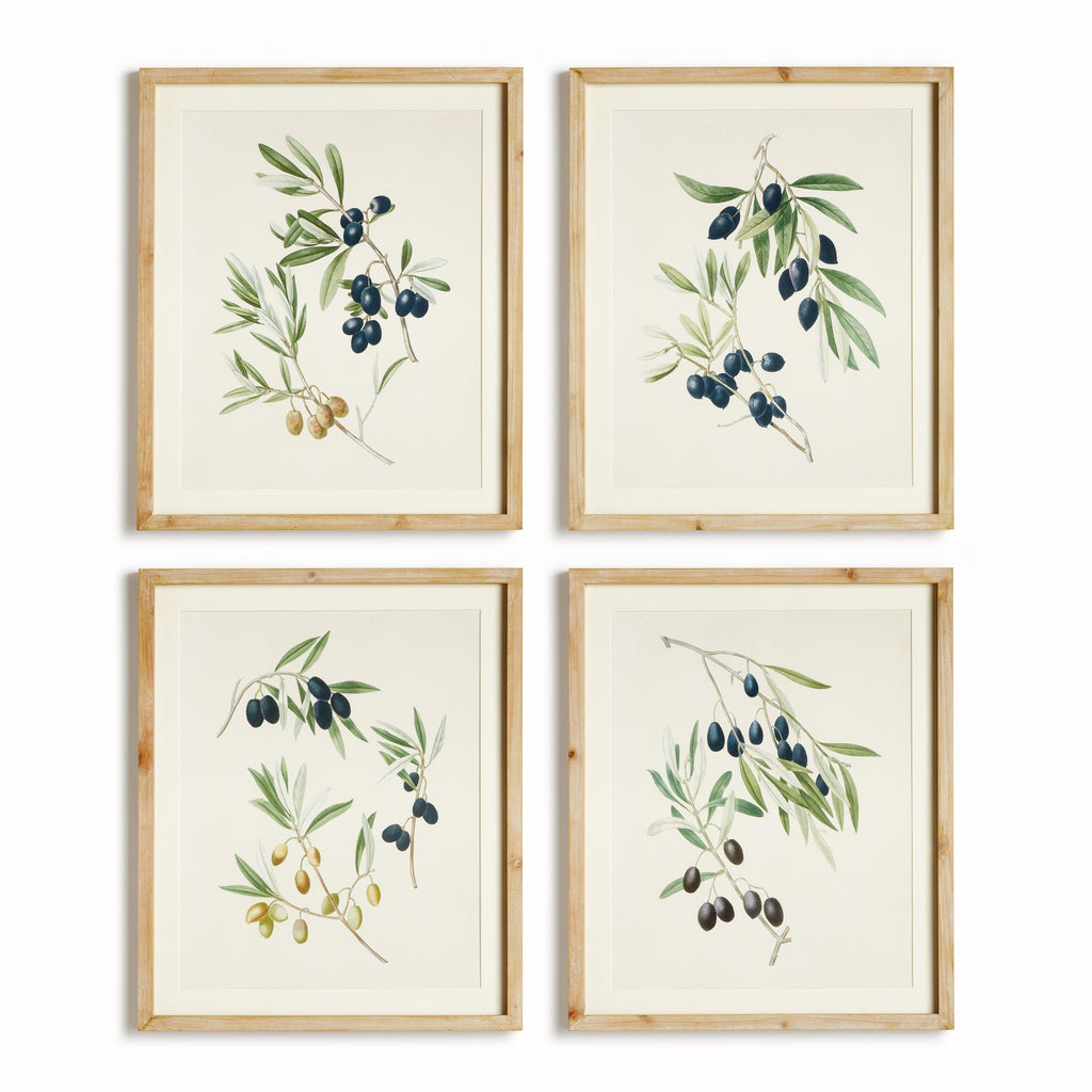 Olive Stems Study, Set of 4